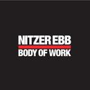 nitzer ebb-body of work