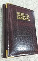 A BIBLIA SAGRADA - CONTENDO O VELHO E O NOVO TESTAMENTO -JOO FERREIRA DALMEIDA / TRADUZIDA EM PORTUGUES
