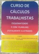 Curso de Calculos Trabalhistas / Esquematizado e Com Planilhas / Totalmente Ilustrado-Denise Aparecida Livonesi