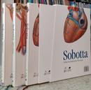 Sobotta Atlas de Anatomia Humana - 3 Volumes-SOBOTTA / FRIEDRICH PAULSEN / JENS WASCHKE 